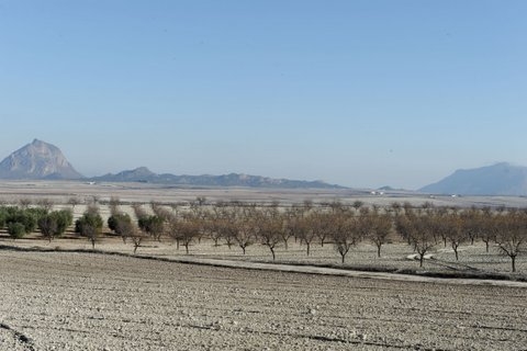 A history of Calasparra