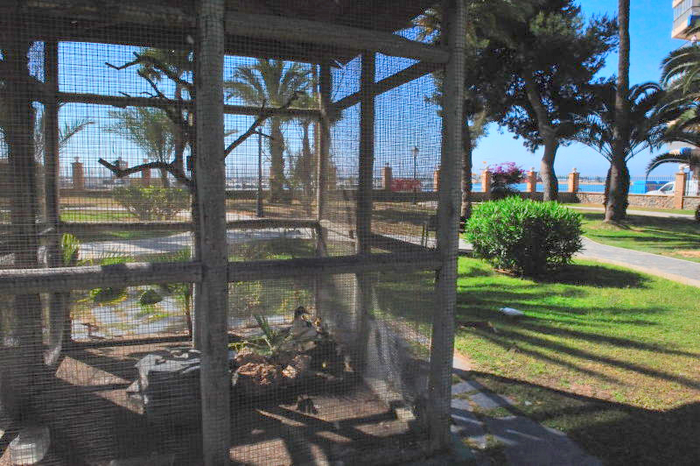 Jardín Doña Sinforosa, Torrevieja