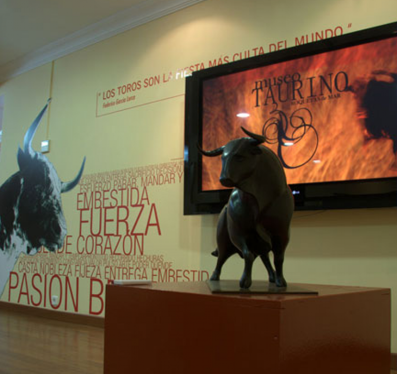 5 unique museums in the province of Almeria