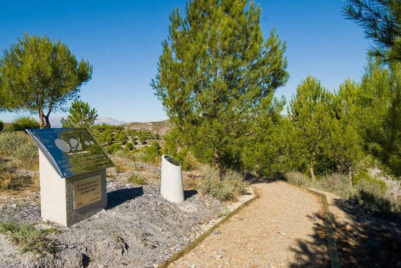 Five great walks in the Region of Murcia!