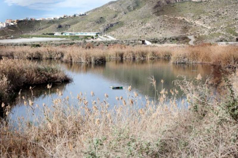 The wetlands of Las Moreras in Mazarron