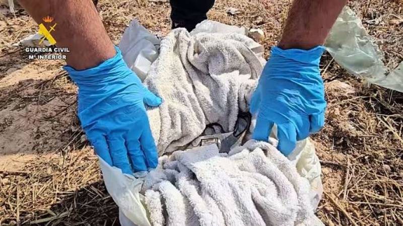 Two arrested for shooting Irishman in the head in Orihuela Costa