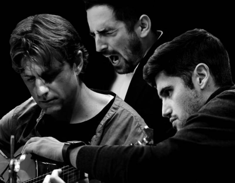 July 8 Free flamenco fusion concert at the Hotel Balneario de la Encarnación in Los Alcázares