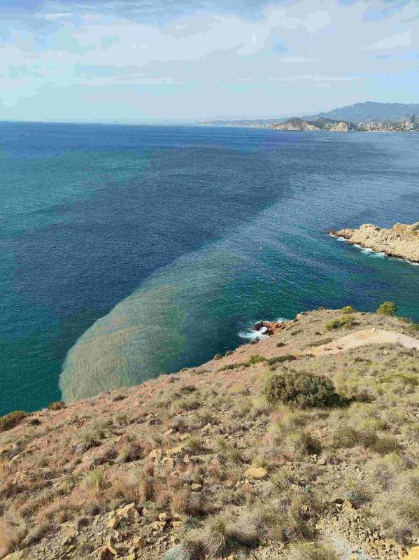 Black flags for Costa Blanca tourist hotspots