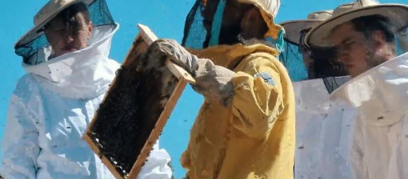 Discover Guatazales this summer: Honeybees, wine and wilderness await