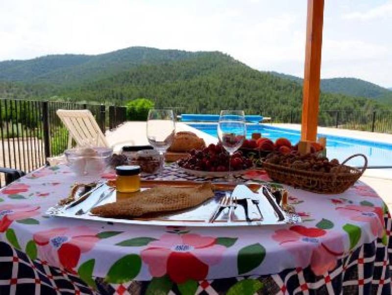 Discover Guatazales this summer: Honeybees, wine and wilderness await