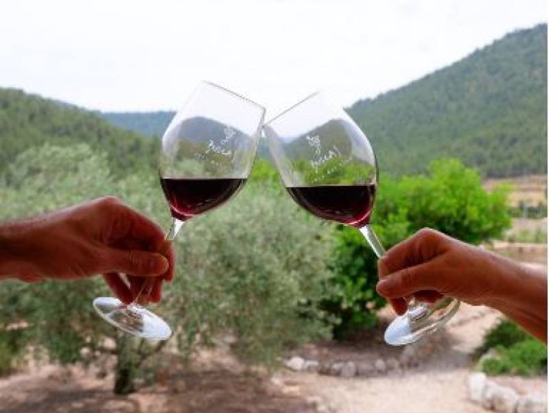 Discover Guatazales this summer: Honeybees, wine and wilderness await