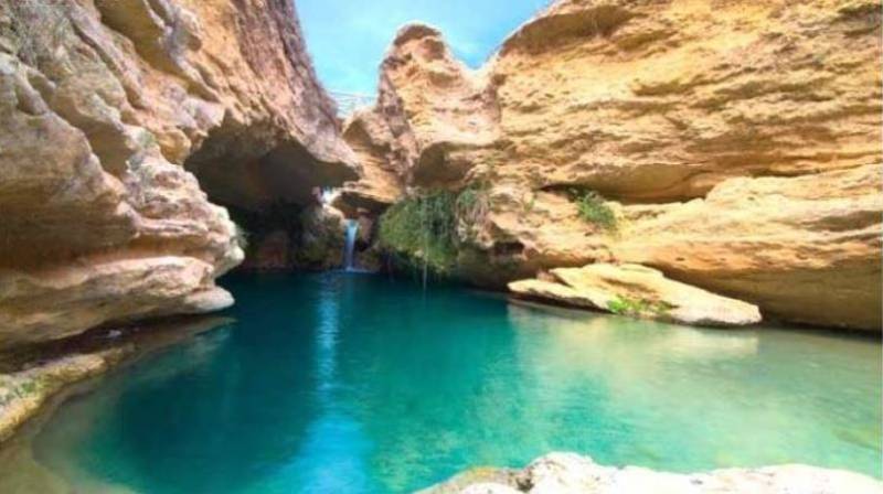 Discover Guatazales this summer: Honeybees, wine and wilderness await