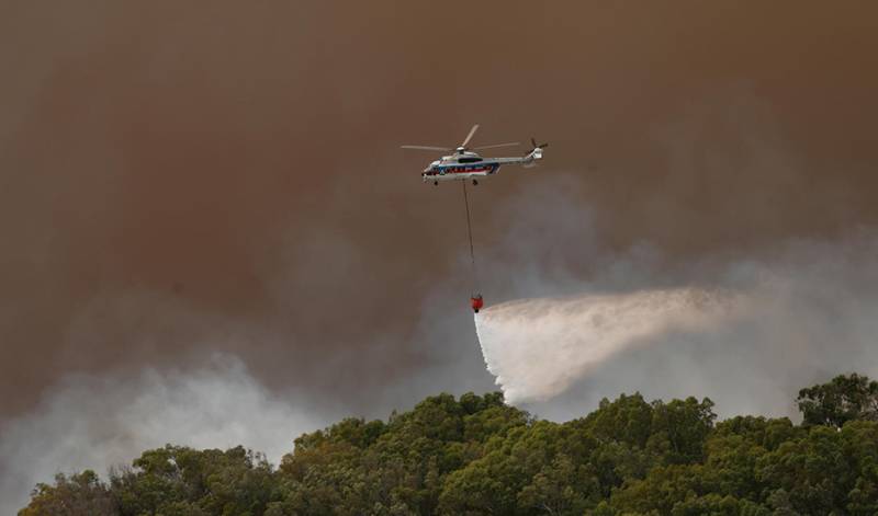 Tarifa wildfire forces mass evacuation as firefighting efforts continue