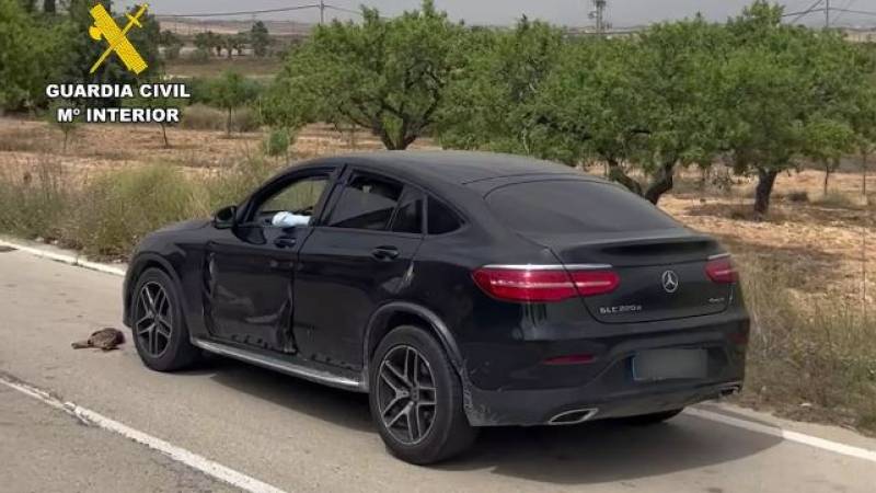 Murcia driver throws cat from car and deliberately runs over it