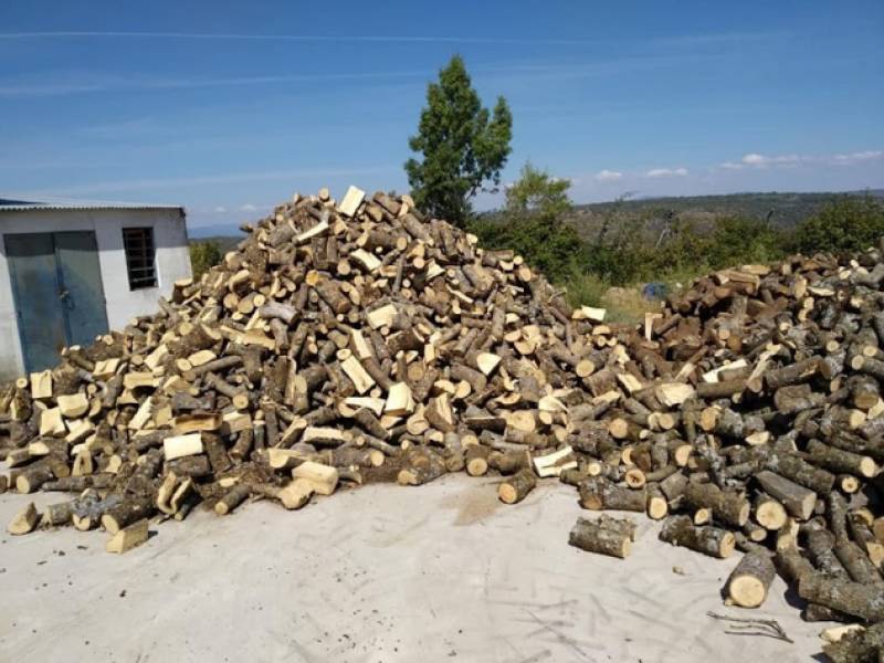 Serrano Garden Centre in Camposol: Your winter warmth starts here