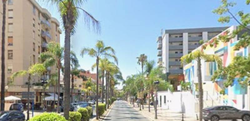 Woman killed by falling palm tree during Storm Joseph in Torremolinos