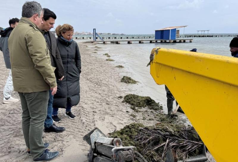 San Javier Mayor praises efforts to reduce biomass from the Mar Menor
