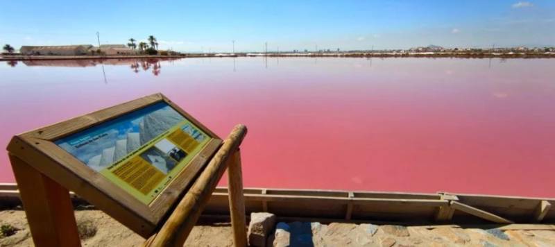 April 3 and 4 Free guided visits to the salt flats of San Pedro del Pinatar