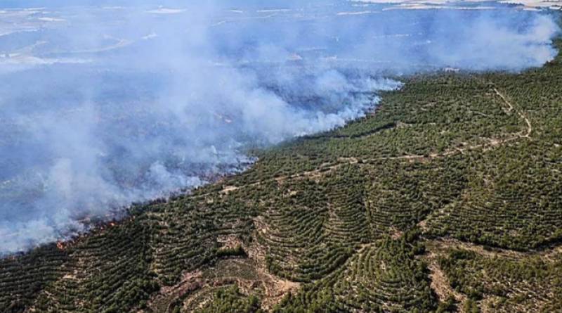 WATCH! Wildfire tears through 400 hectares of protected park land in Sierra Espuña