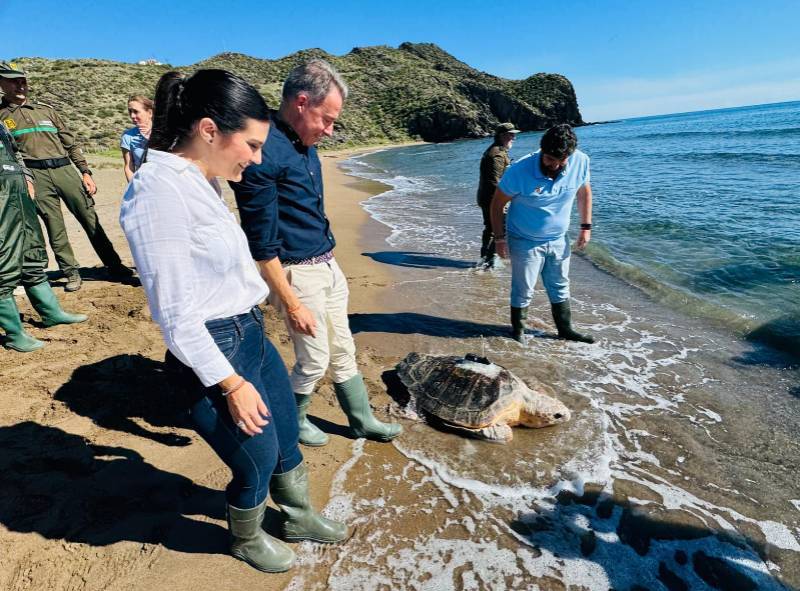 June 20 Turtle awareness morning in Puerto de Mazarrón!