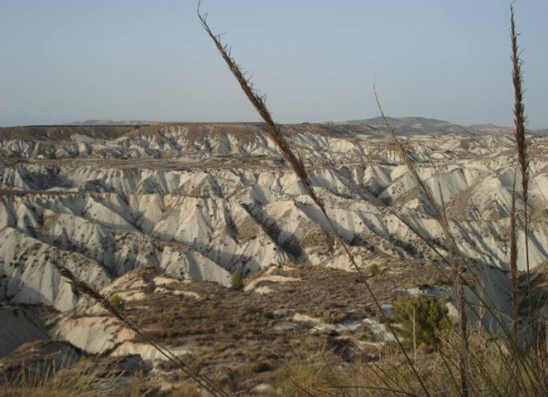 April 25 Free guided tour IN ENGLISH of Gebas in the mountains of Sierra Espuña