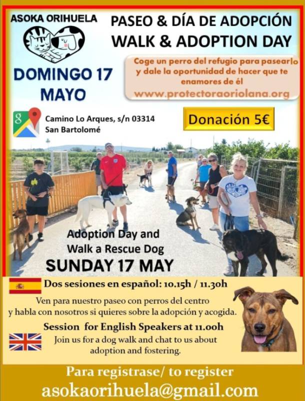 May 17 English-speaking dog lovers invited to Orihuela charity walks and adoption event