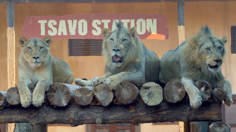 Terra Natura Murcia wraps up its most successful summer on record
