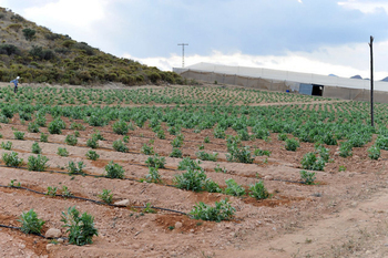 Outlying districts of Mazarron: Ifre-Pastrana