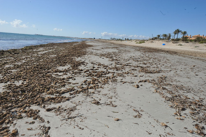 San Pedro del Pinatar beaches: Playa del Mojón